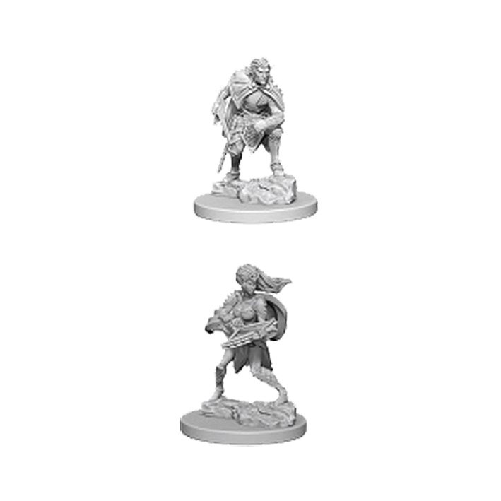 Nolzurs Marvelous Miniatures - Drow